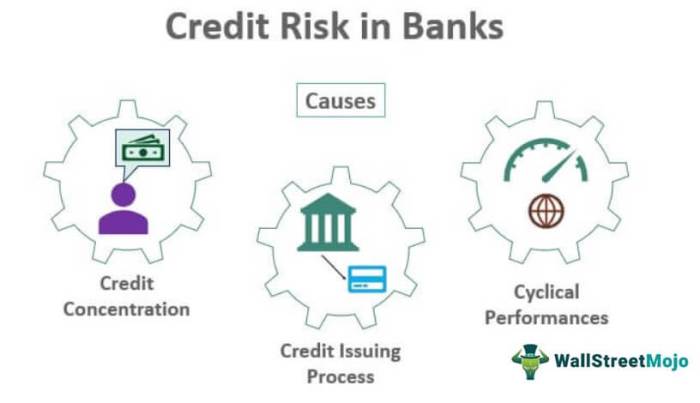 Risk credit management banks academia