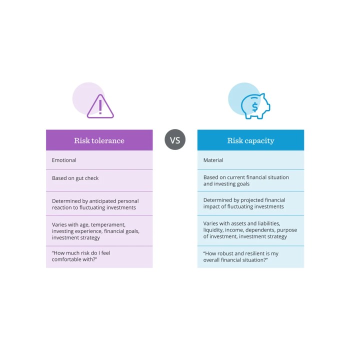 Risk tolerance two dimensional capacity vs comparison assessment process dimensions assessing separately